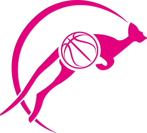 Lambersart Basket Lille Métropole